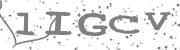 Type the letters in the image or Type the first letter of the words spoken in the audio.