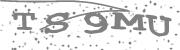 Type the letters in the image or Type the first letter of the words spoken in the audio.