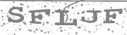 Type the letters in the image or Type the first letter of the words spoken in the audio.
