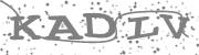 Type the letters in the image or Type the first letter of the words spoken in the audio.