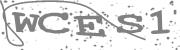 Type the letters in the image or Type the first letter of the words spoken in the audio.