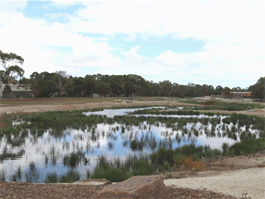 Re-imagining Tarralla Creek