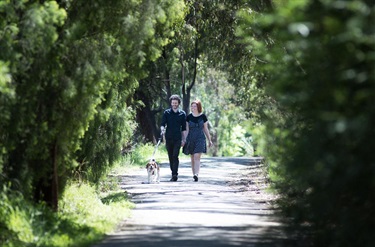 Heathmont Rail Trail, Heathmont