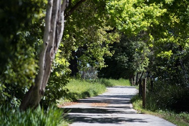 Heathmont Rail Trail, Heathmont