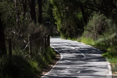 Heathmont Rail Trail, Heathmont