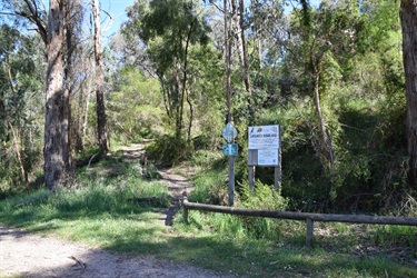 Loughie’s Bushland, Ringwood North