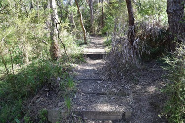 Loughie’s Bushland, Ringwood North