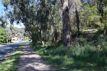 Loughie’s Bushland, Ringwood North