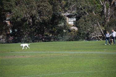 Mullum Mullum Reserve, Ringwood