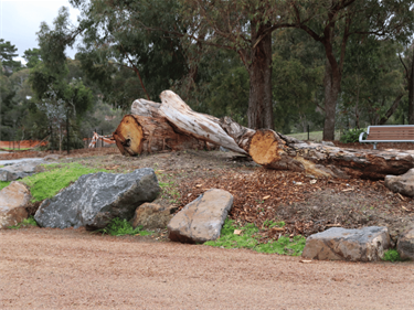 Parkwood Dog Park, Ringwood North