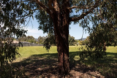 W (Jacko) Jackson Reserve, Kilsyth South