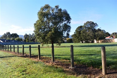 W (Jacko) Jackson Reserve, Kilsyth South