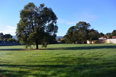 W (Jacko) Jackson Reserve, Kilsyth South