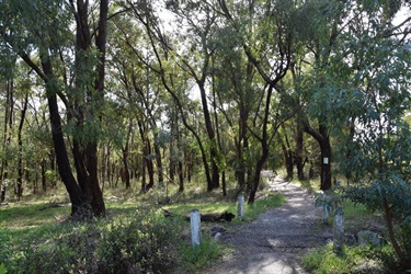 Warranwood Reserve