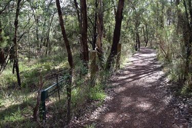 Warranwood Reserve