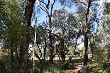 Warranwood Reserve