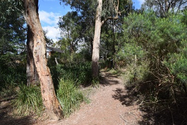 Wombolano Park, Ringwood East