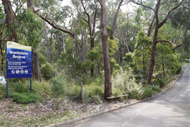 Wombolano Park, Ringwood East