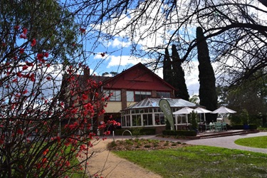 Wyreena Reserve and Playspace