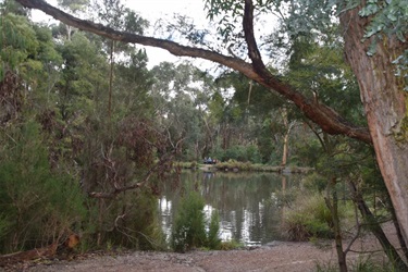 Yarrunga Reserve, Croydon Hills