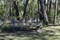 Alto-Reserve - 4