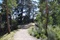 Alto Reserve - 5