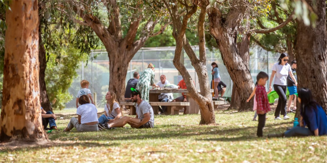 Groups of people sit around on grass and on park benches in the shade of large trees