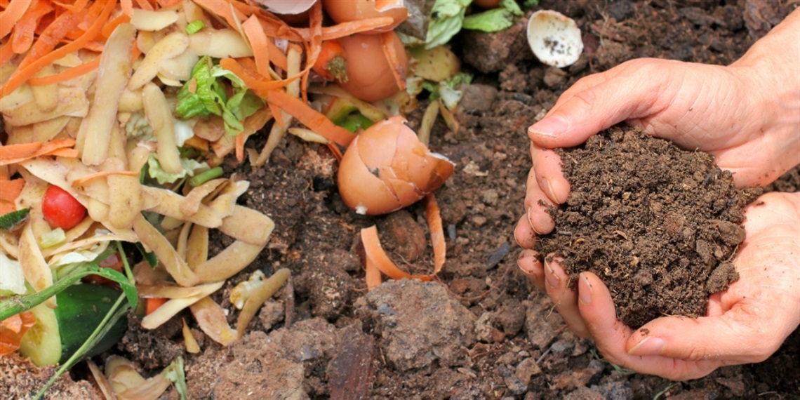 A hand holding dirt above fresh compost