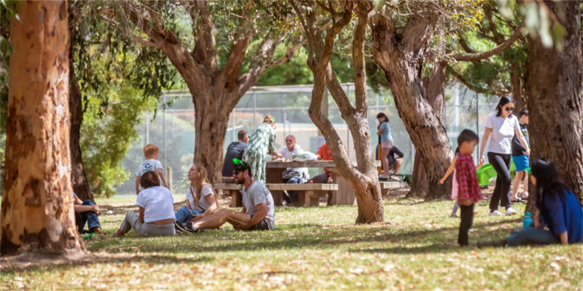 Families enjoying leisure activities in the shade of tall trees