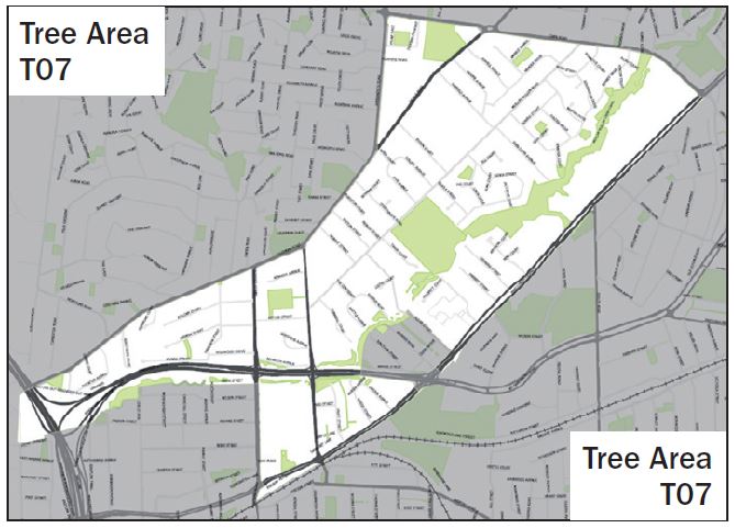 tree-area-t07.jpg