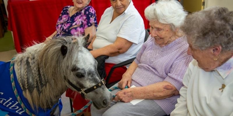 social-inclusion-and-wellbeing group at kerrabee