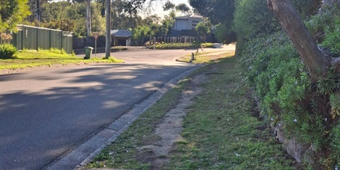 Kubba Road nature strip