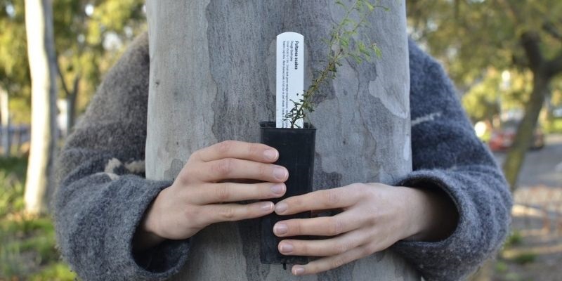 person holding seedling in pot with arms wrapped around tree