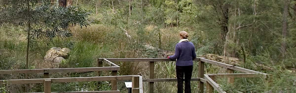 Person standing in nature reserve