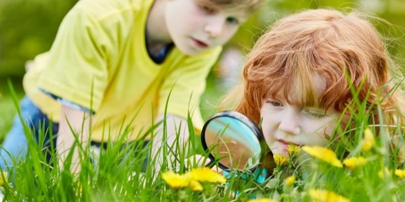 Young children looking through grass with magnifying glass