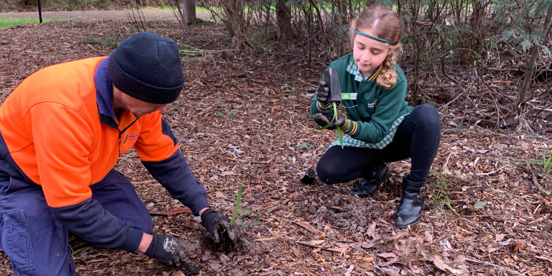 Young child planting tub stock in bushland with a Council employee