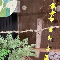 Artwork by Imogen Davis