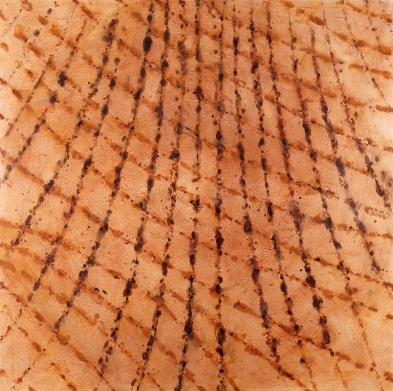 Martin King, First Rain 11, 2003