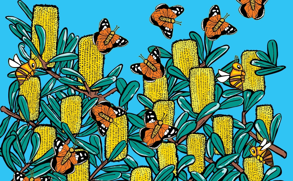 budya budya and nagarru / butterfly and bee, 2025