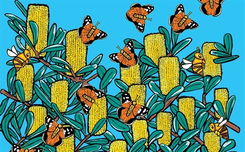 budya budya and nagarru / butterfly and bee, 2025