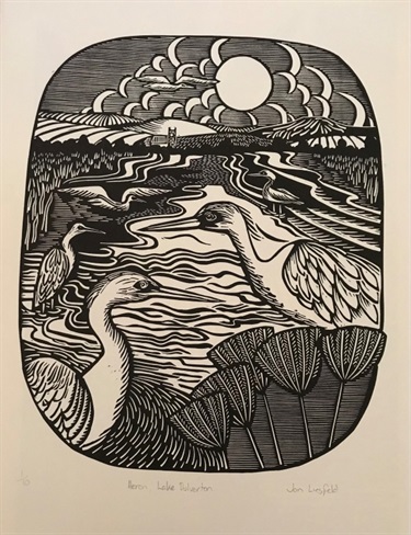 Jan Liesfield