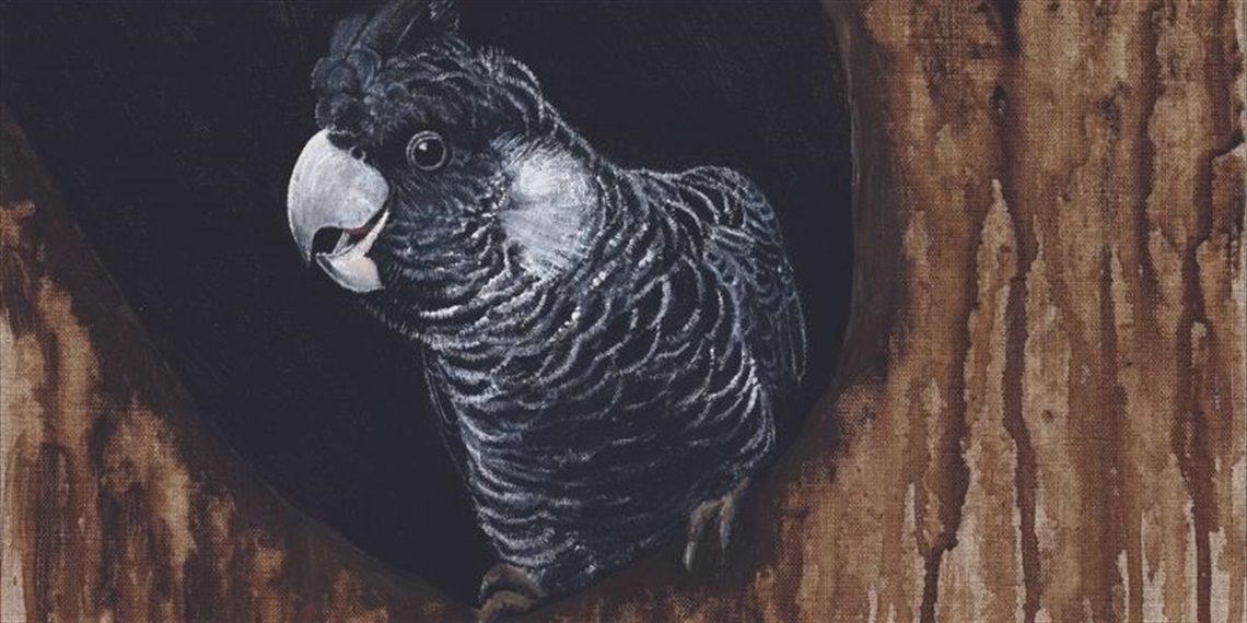 joanne-pearcy-carnabys-cockatoo_acrylic.jpg