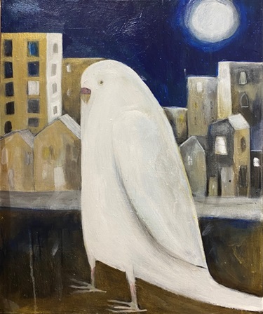 Midnight Adventure by Lisa Coutts