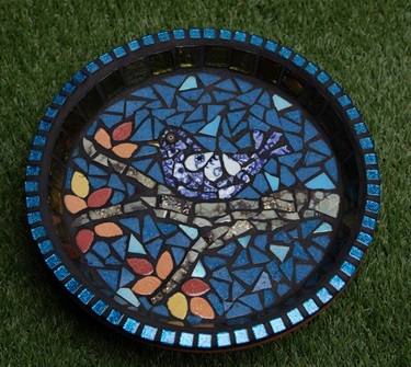 Blue Bird Group Project