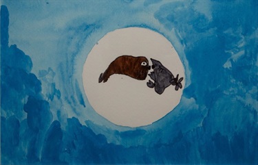 Moonlight by Ariane Toft