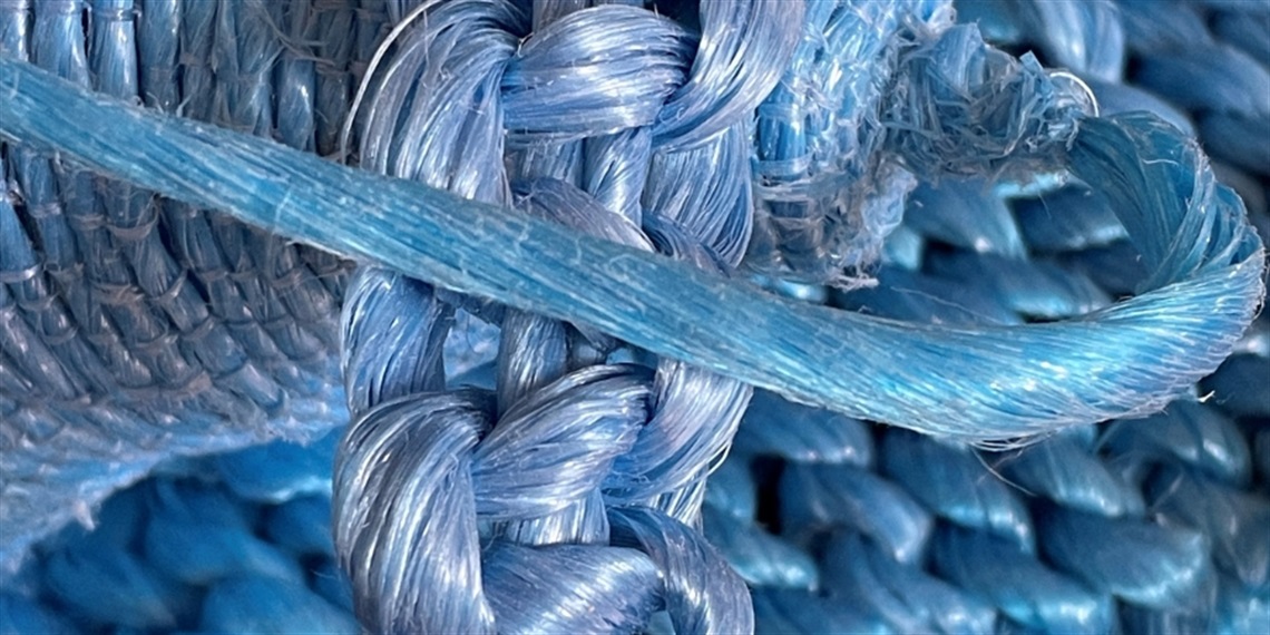 Blue Realm_ web banner_ 2025.jpg