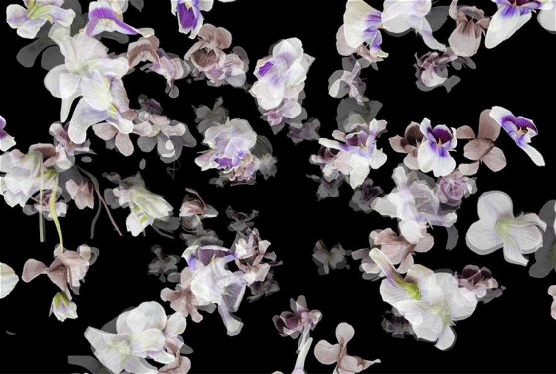 Kerri Wilson McConchie, Flos + Legere, 2025, video still