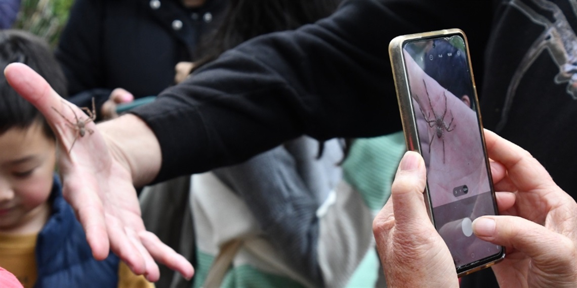 A person holds a smartphone photographing a spider resting on another person’s open hand during an outdoor nature activity.