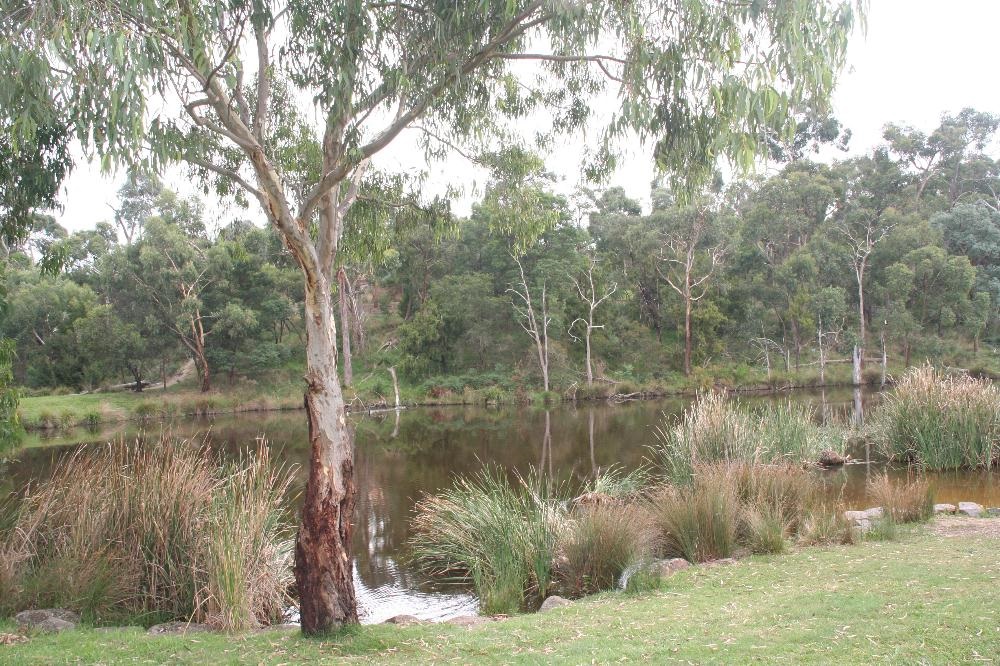 Candlebark Walk Reserve