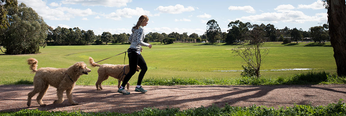 Dorset Recreation Reserve